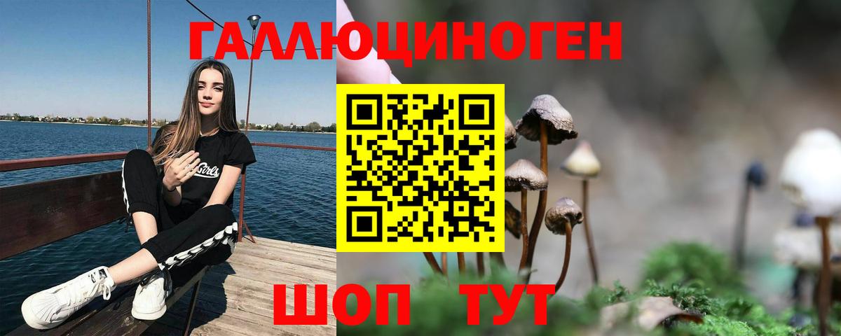 Галлюциногенные грибы Psilocybe  Вход с VPN  Новый Уренгой 