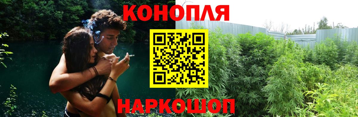 Бошки марихуана семена  Вход с VPN  Шишки марихуана MAZAR  Конопля ГИДРОПОН  Новый Уренгой  Шишки марихуана тримм 